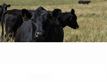 Tablet Screenshot of northwestvetsupply.com